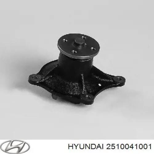 Купити 2510041001 Hyundai/Kia Насос охолоджуючої рідини