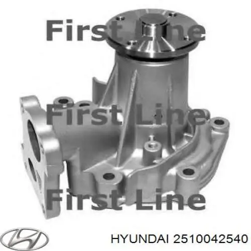 Помпа 2510042540 Hyundai/Kia