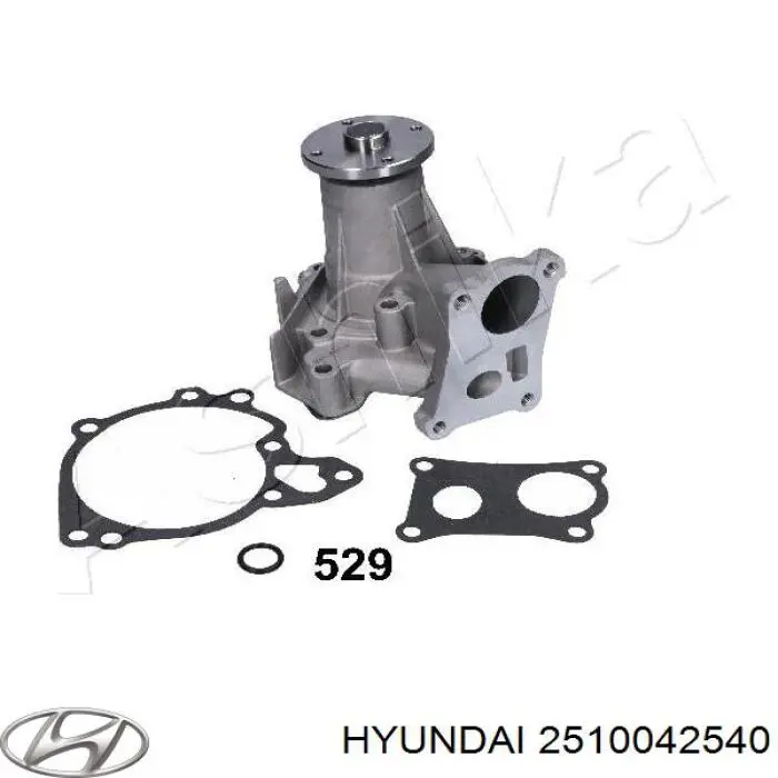 Водяний насос Hyundai/Kia 2510042540