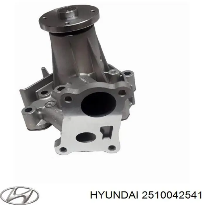 Помпа 2510042541 Hyundai/Kia