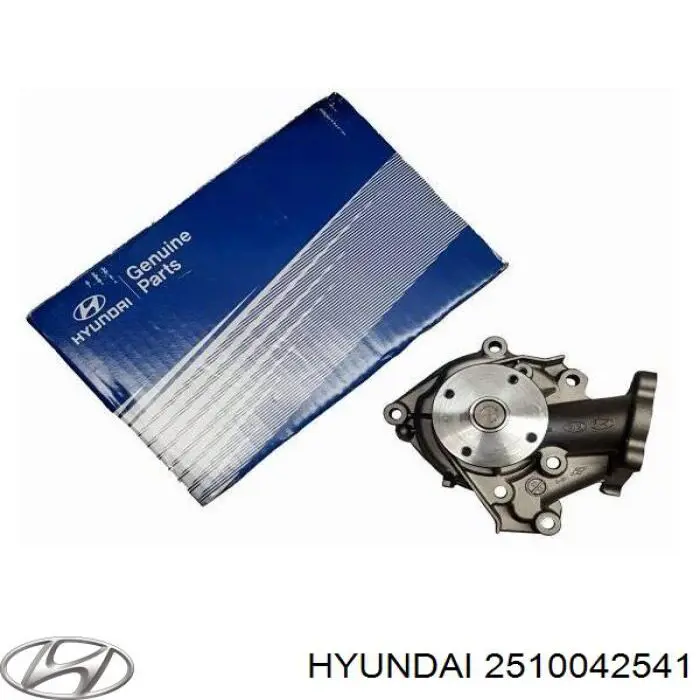 Водяний насос Hyundai/Kia 2510042541