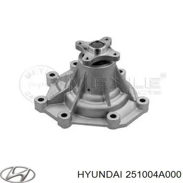 Купити 251004A000 Hyundai/Kia Насос охолоджуючої рідини
