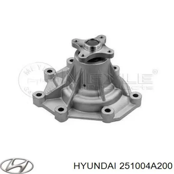 Купити 251004A200 Hyundai/Kia Насос охолоджуючої рідини