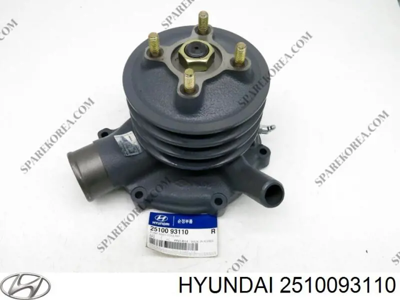 2510093110 Hyundai/Kia Насос охолодження