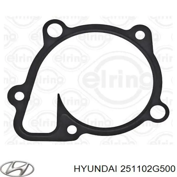 Водяний насос Hyundai/Kia 251102G500