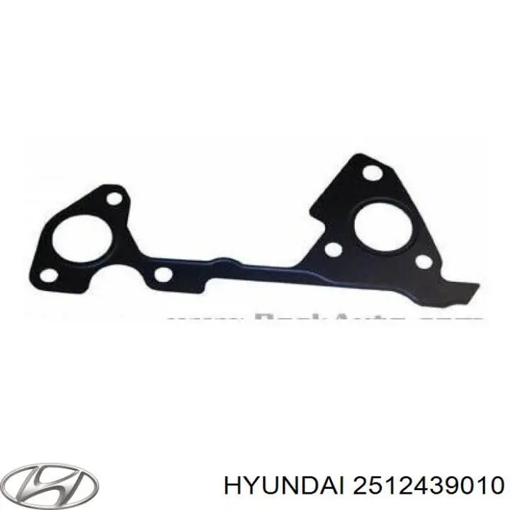 Купити 2512439010 Hyundai/Kia Прокладка водяної помпи