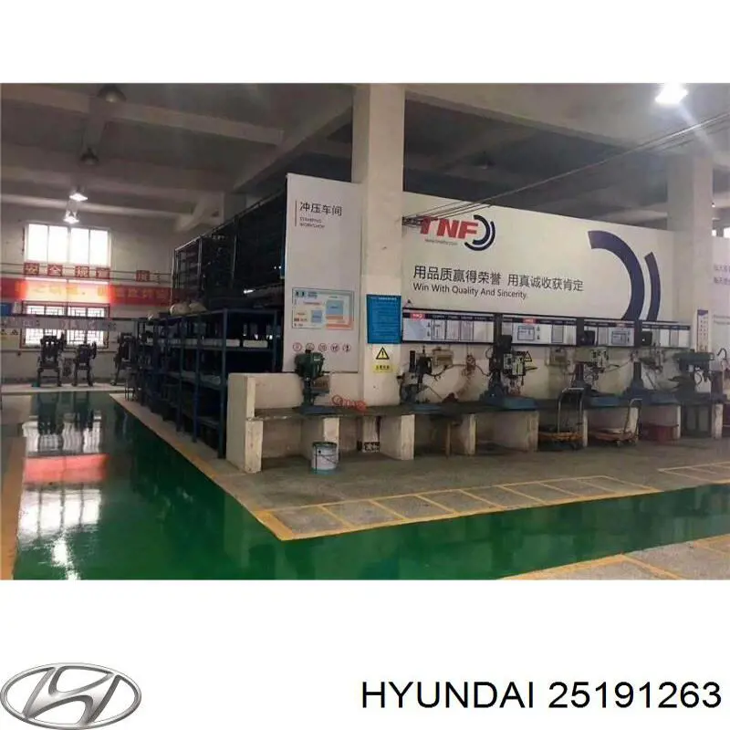 Ролик паразитний ГРМ 25191263 Hyundai/Kia