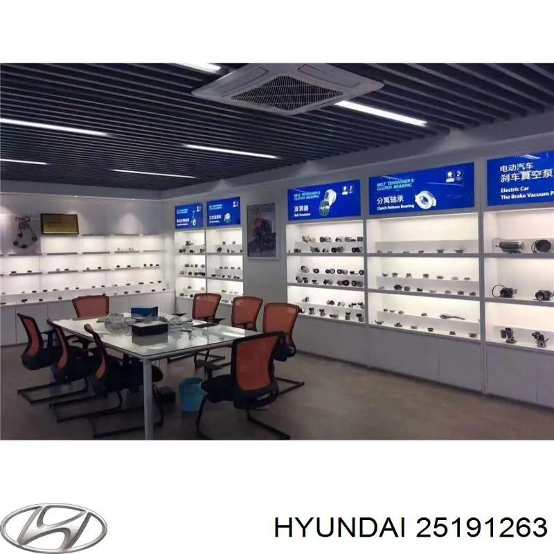 25191263 Hyundai/Kia Паразитний провідний ролик