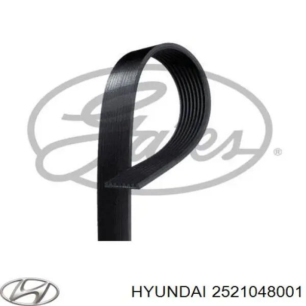 Клиновий ремінь Hyundai/Kia 2521048001 ціна, від 25.36 USD