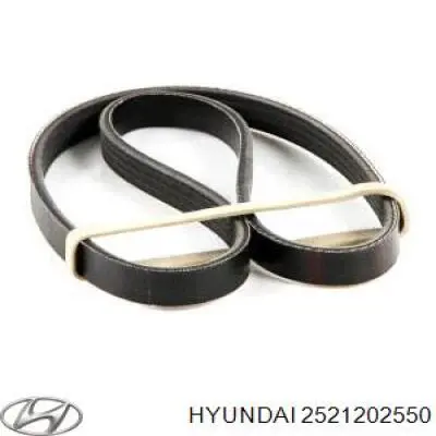 Ремінь кондиціонера Hyundai/Kia 2521202550
