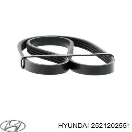2521202551 Hyundai/Kia Поліклиновий ремінь