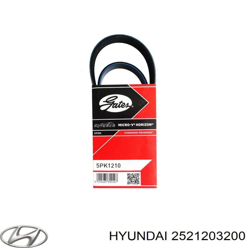 Клиновий ремінь Hyundai/Kia 2521203200 ціна, від 9.22 USD