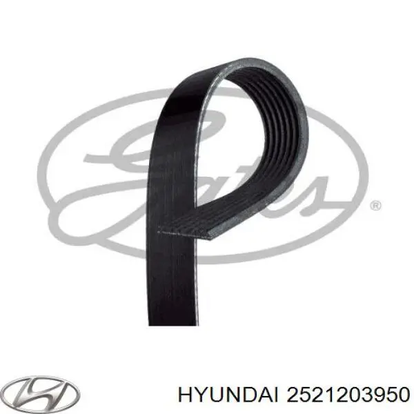 Клиновий ремінь Hyundai/Kia 2521203950 ціна, від 20.39 USD