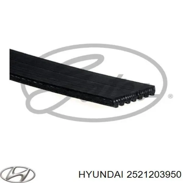 2521203950 Hyundai/Kia Поліклиновий ремінь
