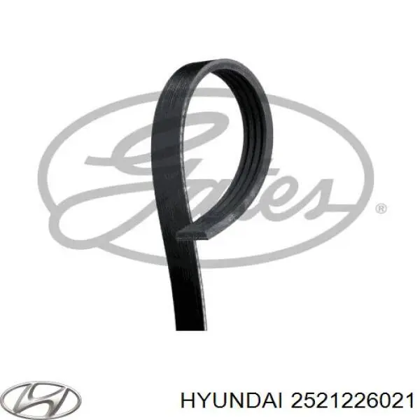 Ремінь кондиціонера Hyundai/Kia 2521226021