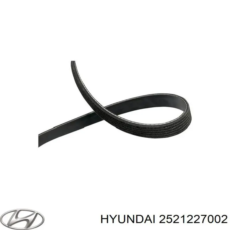 2521227002 Hyundai/Kia Поліклиновий ремінь