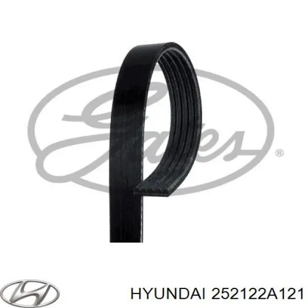 Клиновий ремінь Hyundai/Kia 252122A121 ціна, від 11.47 USD