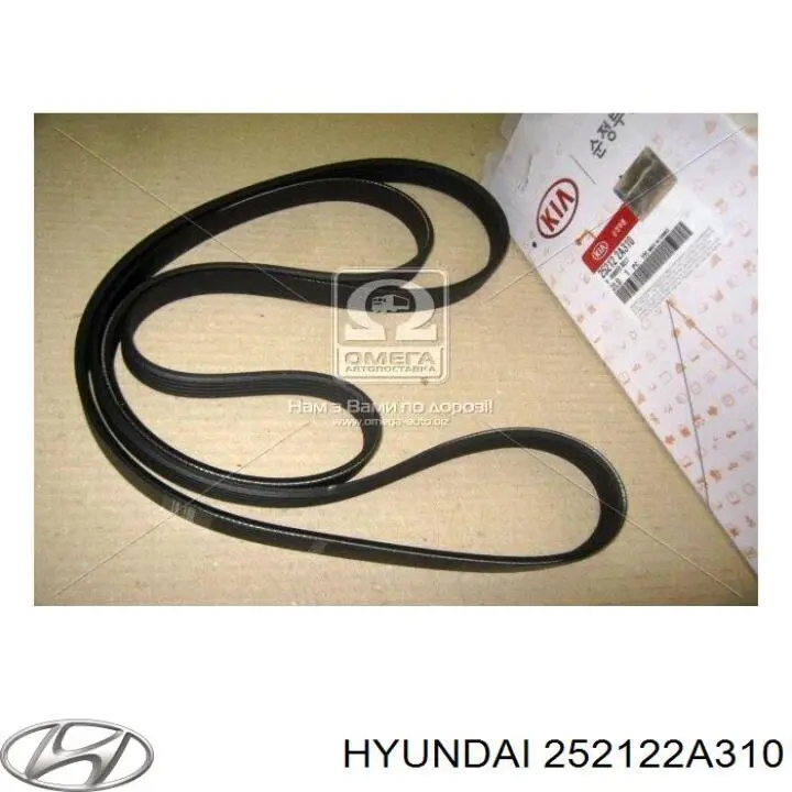 Ремінь кондиціонера Hyundai/Kia 252122A310