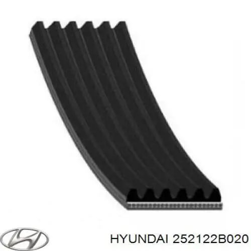 Ремінь генератора 252122B020 Hyundai/Kia