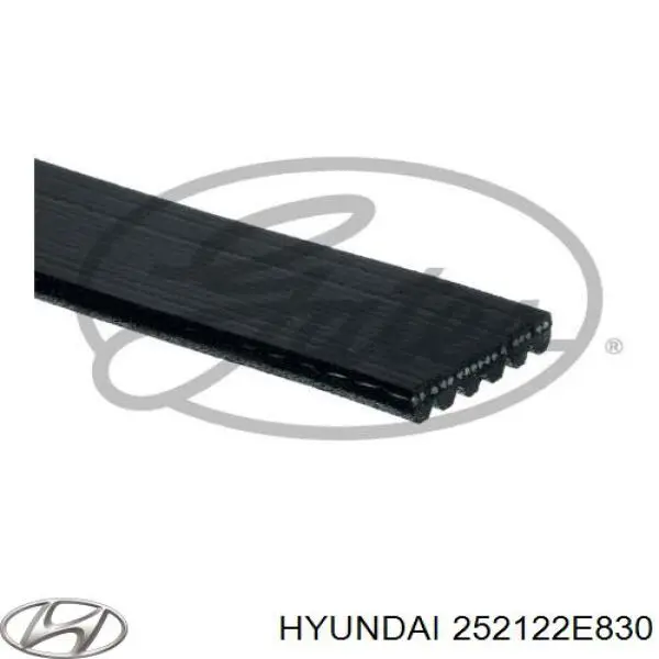 252122E830 Hyundai/Kia Поліклиновий ремінь