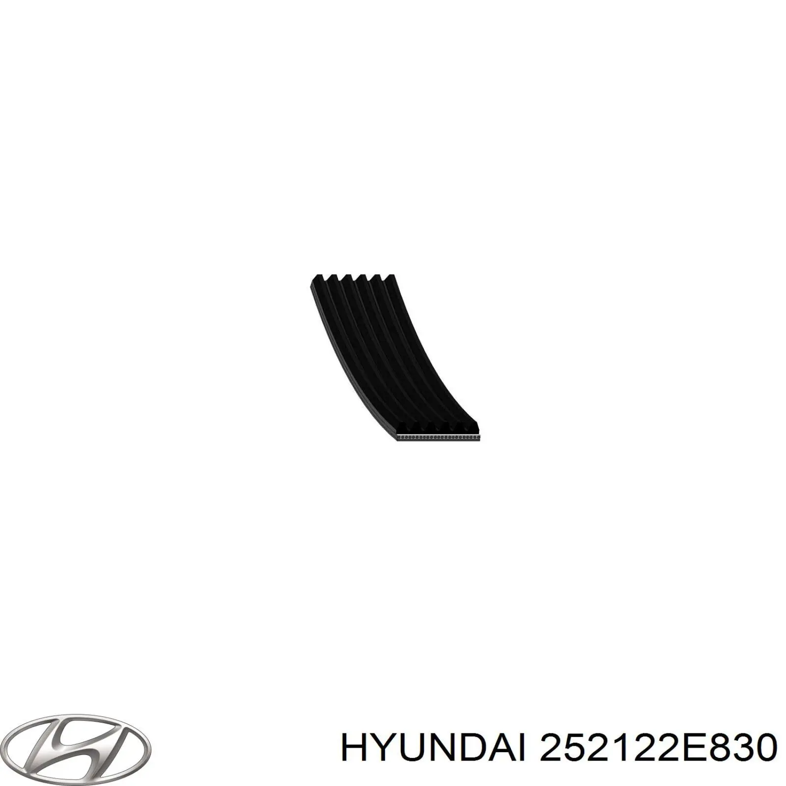 252122E830 Hyundai/Kia ремінь приводний, агрегатів