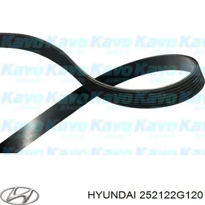 Клиновий ремінь Hyundai/Kia 252122G120 ціна, від 16.78 USD