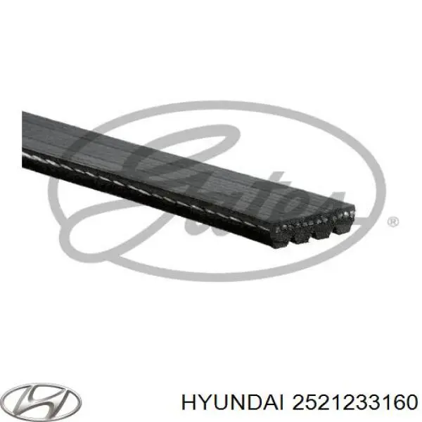 Ремінь генератора 2521233160 Hyundai/Kia