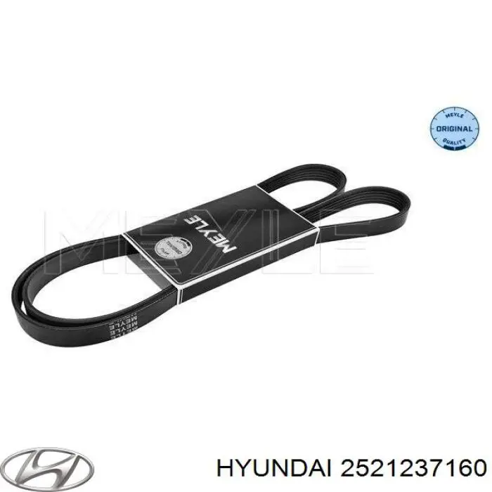 2521237160 Hyundai/Kia Поліклиновий ремінь
