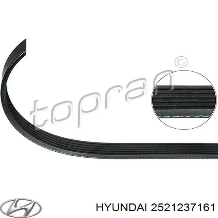 2521237161 Hyundai/Kia Поліклиновий ремінь