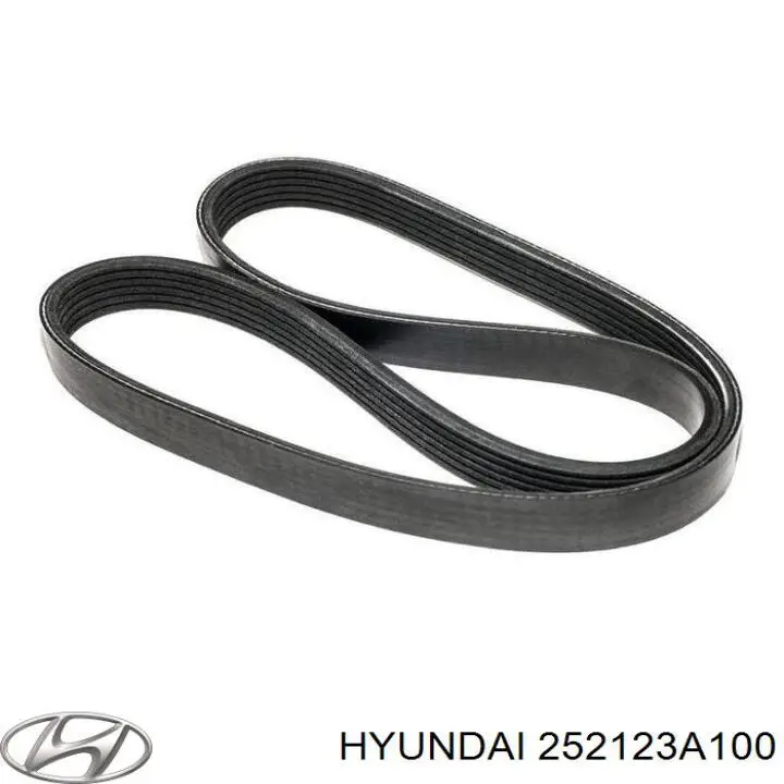Клиновий ремінь Hyundai/Kia 252123A100 ціна, від 24.80 USD
