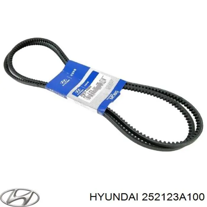 Купити 252123A100 Hyundai/Kia Ремінь генератора