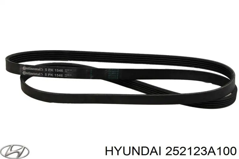 252123A100 Hyundai/Kia Поліклиновий ремінь