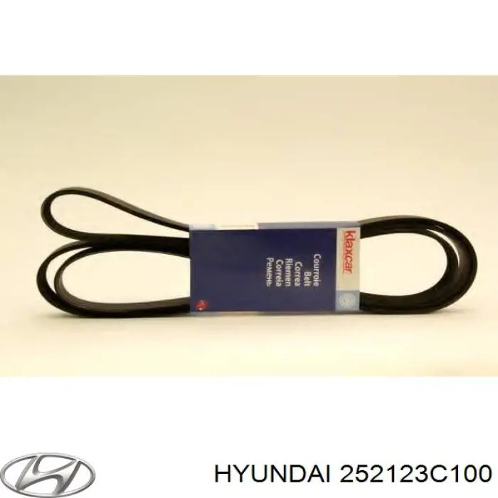 Купити 252123C100 Hyundai/Kia Ремінь генератора