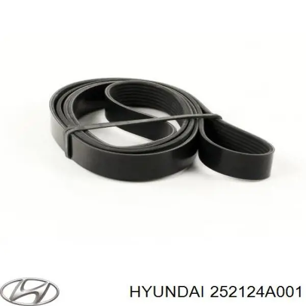 Клиновий ремінь Hyundai/Kia 252124A001 ціна, від 24.74 USD