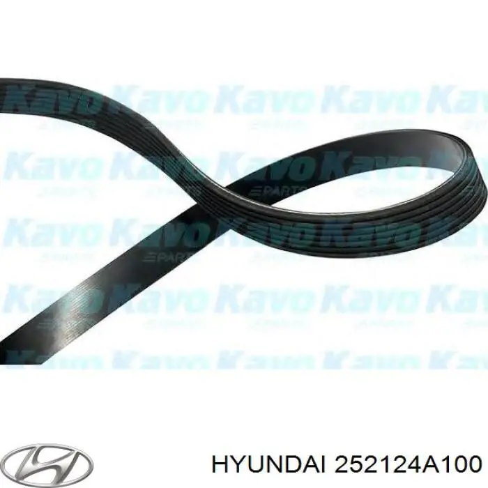 Клиновий ремінь Hyundai/Kia 252124A100 ціна, від 23.17 USD