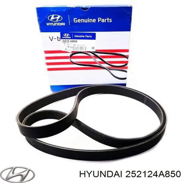 252124A850 Hyundai/Kia Поліклиновий ремінь