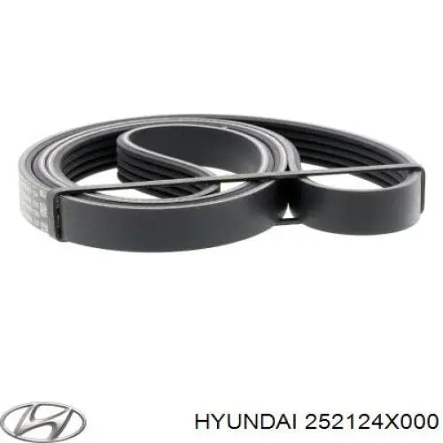  252124X000 Hyundai/Kia