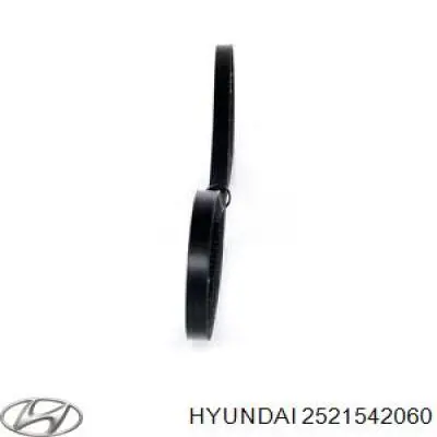 Купити 2521542060 Hyundai/Kia Ремінь генератора