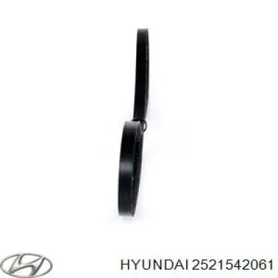 2521542061 Hyundai/Kia ремінь приводний, агрегатів