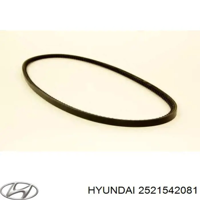 Клиновий ремінь Hyundai/Kia S2521542081 ціна, від 2.28 USD