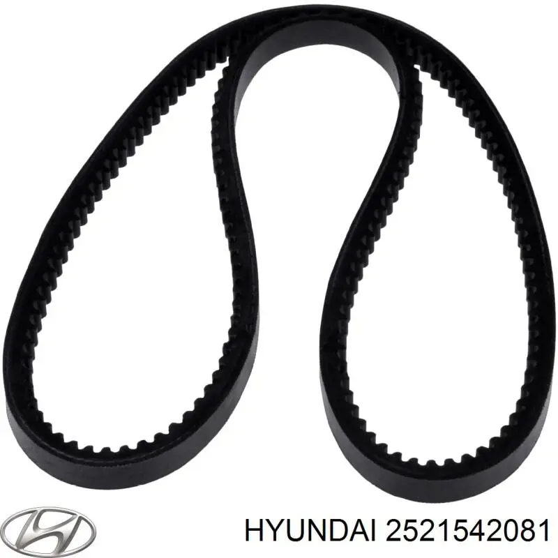 Ремінь приводний, агрегатів 2521542081 Hyundai/Kia