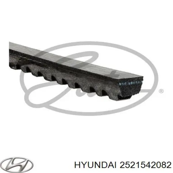 2521542082 Hyundai/Kia Поліклиновий ремінь