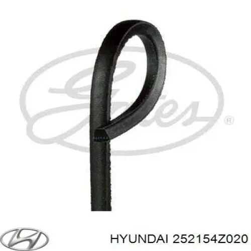 Клиновий ремінь Hyundai/Kia 252154Z020 ціна, від 14.74 USD