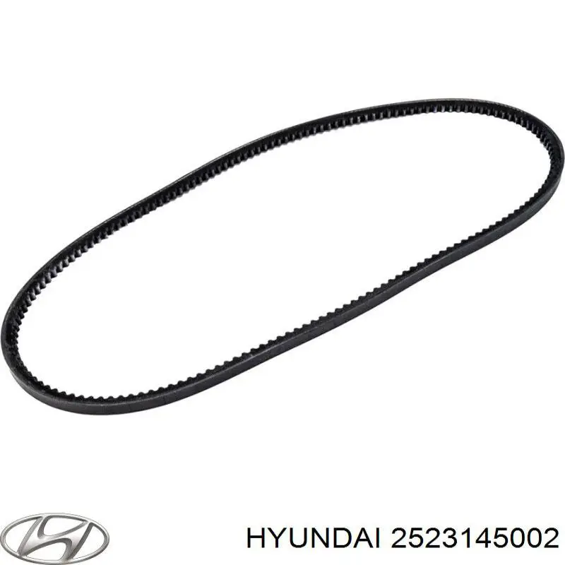 Купити 2523145002 Hyundai/Kia Ремінь генератора