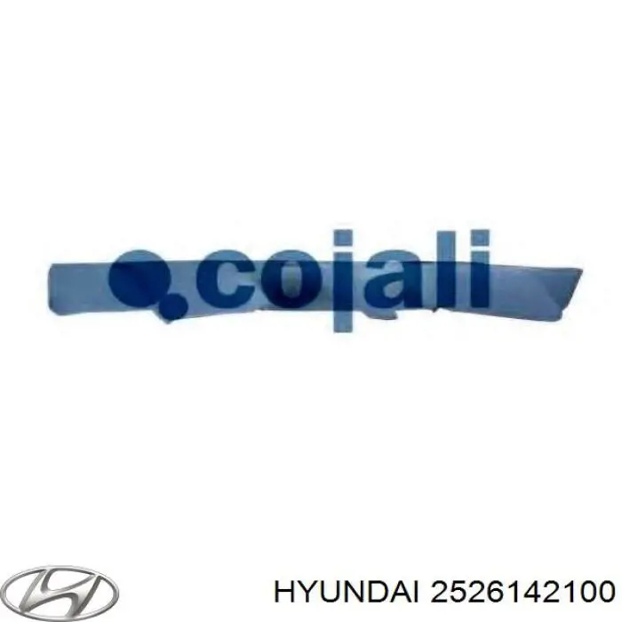 2526142100 Hyundai/Kia вентилятор/крильчатка радіатора охолодження