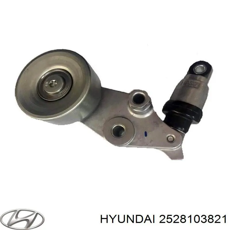 2528103821 Hyundai/Kia 