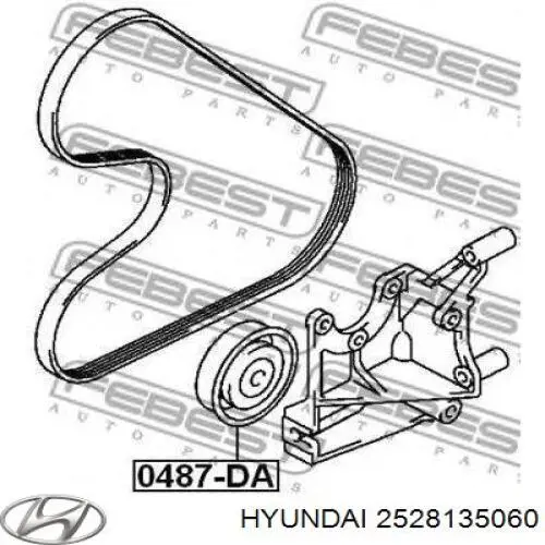 Ролик приводного ременя, паразитний Hyundai/Kia 2528135060 ціна, від 17.30 USD