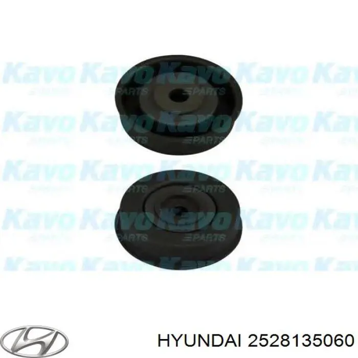 Купити 2528135060 Hyundai/Kia Ролик приводного ременя, паразитний