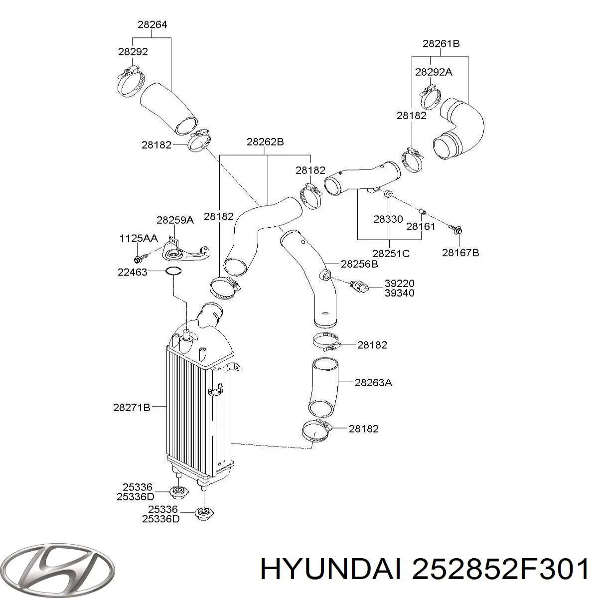  Hyundai/Kia 252852F301 ціна, від 98.76 USD