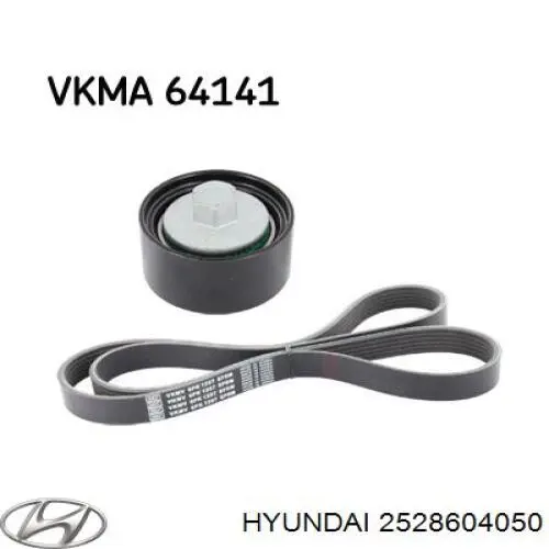 Купити 2528604050 Hyundai/Kia Ролик паразитний ГРМ
